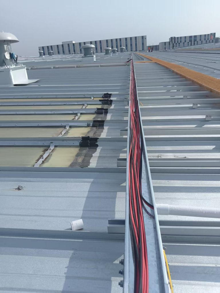 微信图片_2026-01-02_195936_191